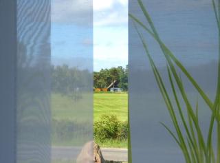 Käptn Brass Villa 1 App 3 Strandgut - Dierhagen - 4