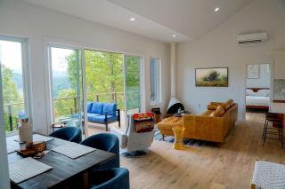 Wildcat Modern Pool, Fire Pit Dog-friendly - Young Harris - 9