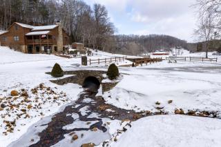 Springmaid Mountain - Spruce Pine - 6