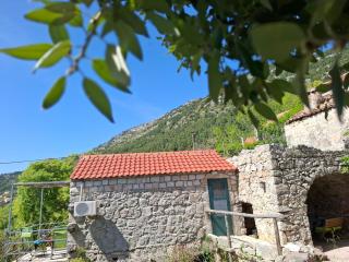 Cottage Melita the Apartment for Animal Lovers - Babino Polje - 0
