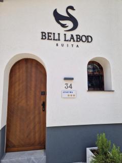 Suita beli Labod - 4