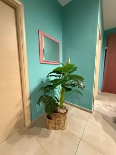 Zefia home G - Catânia - 3