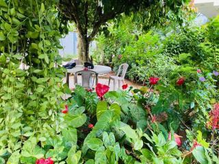 Garden View Mirissa - Mirissa - 6