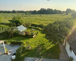 Champagne Cottage - New Forest National Park - Bisterne - 9