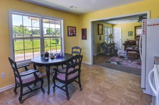 Cozy Georgetown Cottage on a Working Horse Farm! - Georgetown - 3