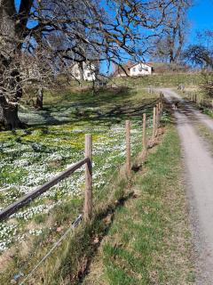 Kristbergs Rusthåll - Borensberg - 2