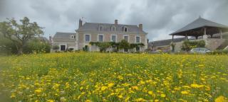 La Demeure de l'Aubance - Saint-Mélaine-sur-Aubance - 9