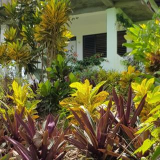 Private Hilltop - Garden Apartment - Orange Bay - Orange Bay - 8