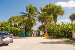 Tropical Beach Oasis - Aloe - 2