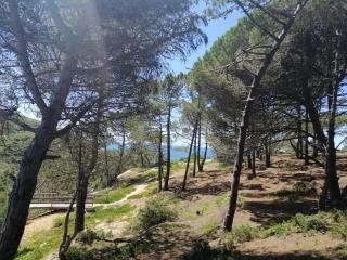 Casa Jacintos - Sintra, Magoito - Bolembre de Baixo - 0