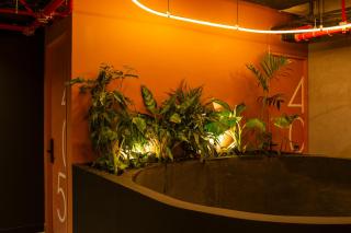 Hunters Hotel - Medellín - 5