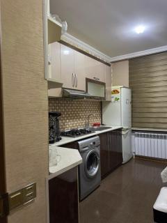 Ideal apartment for family - Ganja - 2