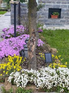 B&B Il castagno - Roccavione - 2