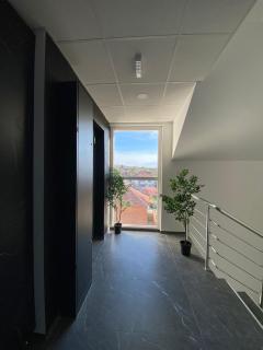 Luxury Apartments Danube - Golubac - 7