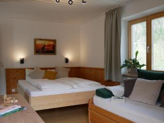 Apartmenthaus Thussn, cozy & quiet location, hiking & MTB, - Kirchberg in Tirol - 3