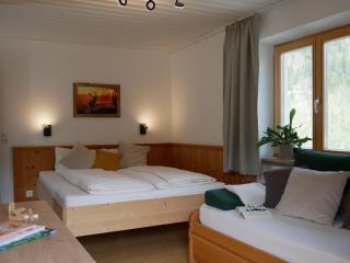 Apartmenthaus Thussn, cozy & quiet location, hiking & MTB, - Kirchberg in Tirol - 8