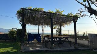 La Casa di Pietro - 8