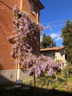 ROSSENA HOME tranquillo appartamento, con giardino, vicino al centro ed all'Ospedale Santa Maria Nuova SMN - Reggio nell'Emilia - 6