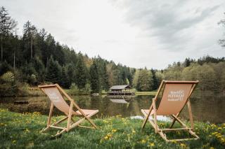 Koča ob ribniku - Ponikva - 8