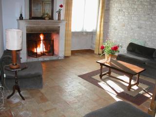 Charmant gîte familial en Touraine avec cheminée - FR-1-381-617 - Verneuil-le-Château - 1