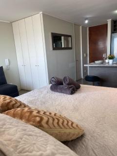 17 Apartamento en Santiago en frente a Metro - Estadio - Hipodromo de Chile - Santiago - 2
