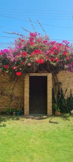 Casa do Bougainvillea Mundaú-Trairi-Ce - 7