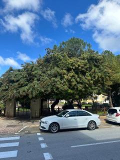 1 Bedroom with private bathroom in a shared 3 bedroom apartment in Swieqi 10 min from Paceville and beach - Is-Swieqi - 3