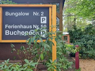 Ferienhaus Bucheneck perfekt für Familien & größere Gruppen im Seenland Lausitz - Kromlau - 9