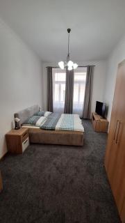 City center apartment Thomas - Praga - 7