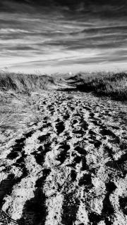 The Beach House East Mersea - - 2
