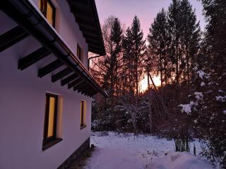Dwerniczek 7 apartamenty - Dwerniczek - 1