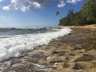 Comfy and Quiet Beachy Bungalow - Rincon - 3