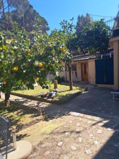 CAV Marianna - Monterosso al Mare - 4