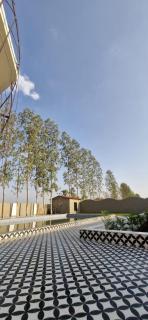 The coconut villa - - 5