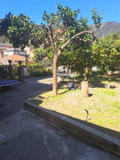 CAV Marianna - Monterosso al Mare - 8