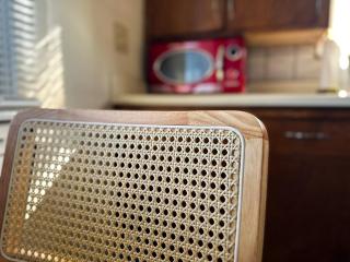 Mid-Century Modern retreat - 1