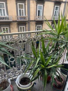 Napoli Centro Antico 77 - 2