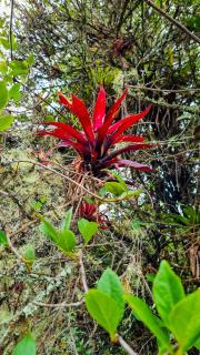 Dante Glamping - Guatavita - 2