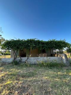 Charmant Provençal Cabanon à Montfort-sur-Argens - Montfort-sur-Argens - 6