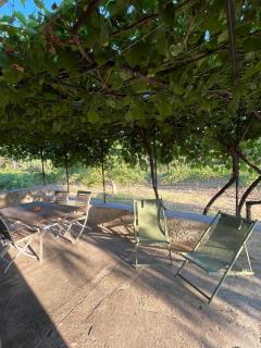 Charmant Provençal Cabanon à Montfort-sur-Argens - Montfort-sur-Argens - 4