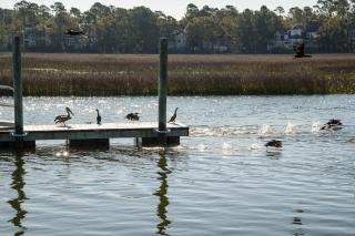 7 Rhetts Bluff Road by Akers Ellis Rentals - Kiawah Island - 6