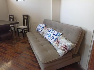Spacious - downtown - US Embassy - La Paz - 1