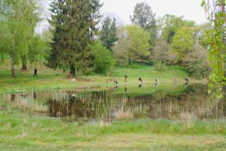 Du Grand Etang - Saint-Saud-Lacoussière - 5