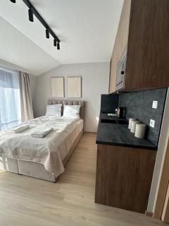 Iron Street by A11 Sauna - Cracovia - 9