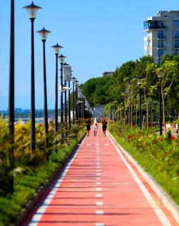 Mariamis apartment - Kobuleti - 0