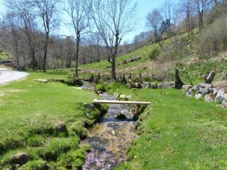 Grand Gite - La Celle-sous-Gouzon - 3