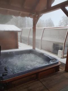 Chalet Mattéo - Ban-de-Laveline - 1