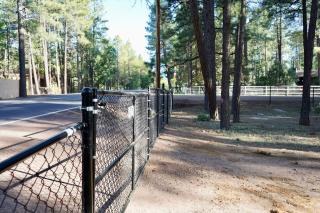 Modern Lakeside Family Fun Cabin - 6