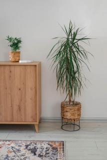 Apartament 37, Gdynia Skwer Kościuszki - Centrum - Gdynia - 8