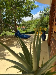 Casa Bela Vida - Fortim - 4